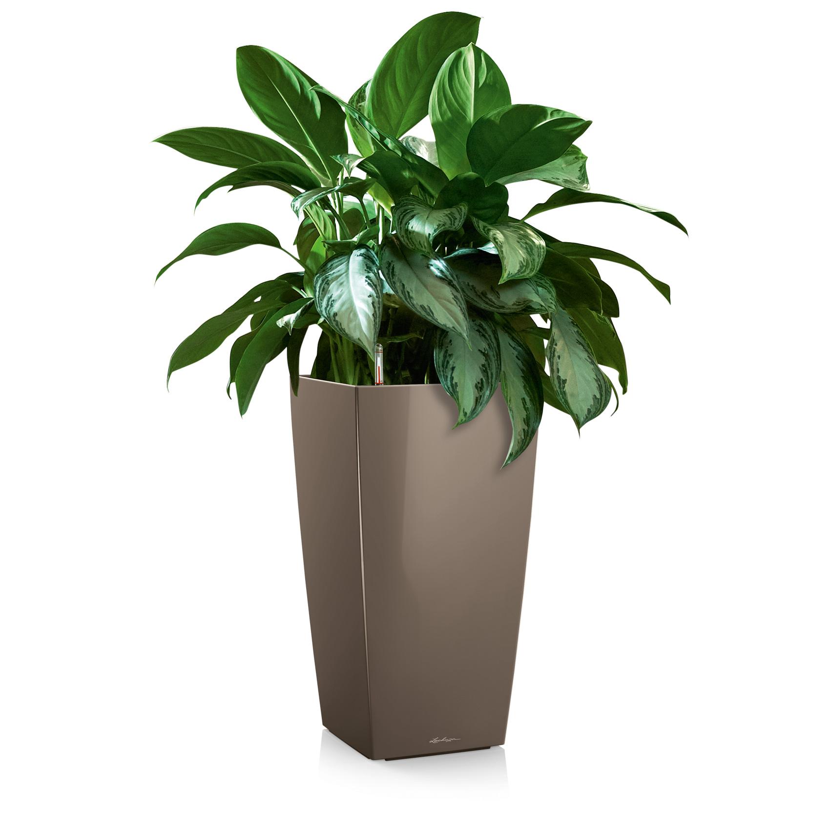 CUBICO 22 shiny taupe